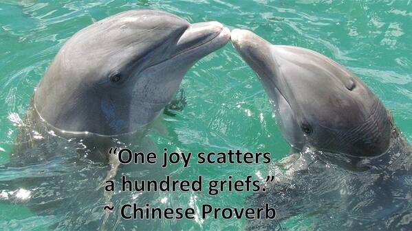 Dolphins Poster featuring the photograph Dolphins Bring Joy by Nancy Ayanna Wyatt