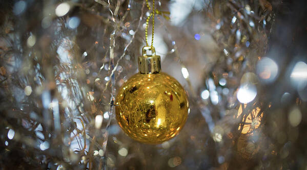 Ornament Poster featuring the photograph Golden Ball on a Silver Tree by Lora J Wilson