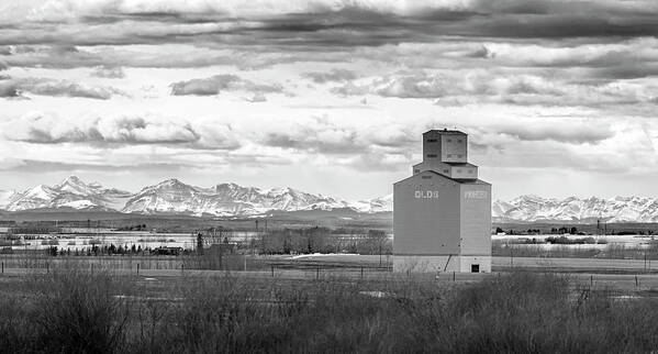 200324 Poster featuring the photograph Grain Elevator Against the Rockies by Phil And Karen Rispin