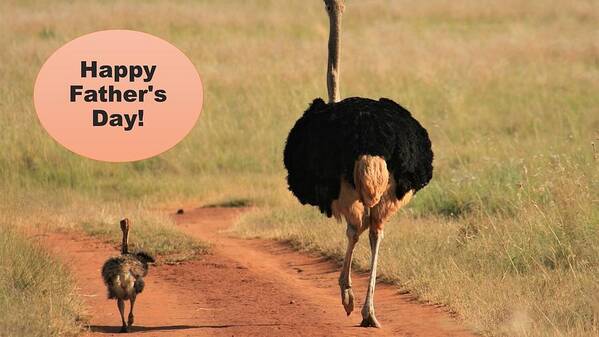 Father's Day Poster featuring the mixed media Happy Fathers Day Ostrich Family by Nancy Ayanna Wyatt
