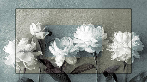 White Peonies Poster featuring the photograph Last Peonies of the Season by Susan Maxwell Schmidt