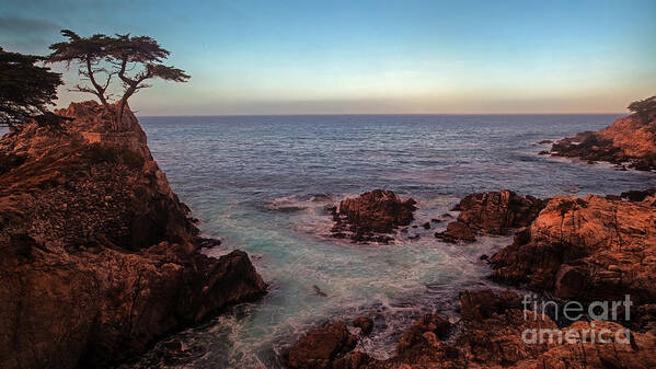 Cyprus Poster featuring the photograph Lone Cyprus Pebble Beach by Mike Reid
