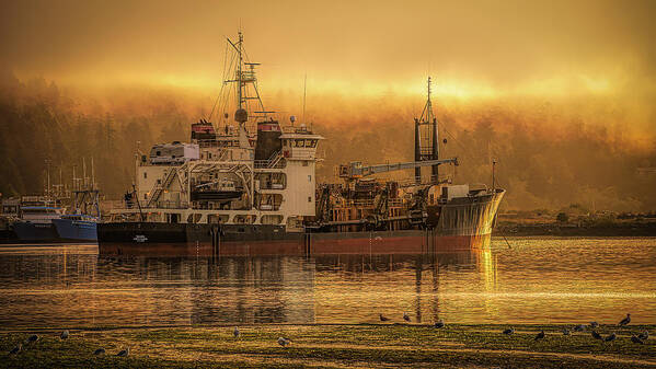 Ship Art Poster featuring the photograph Morning Rest by Bill Posner