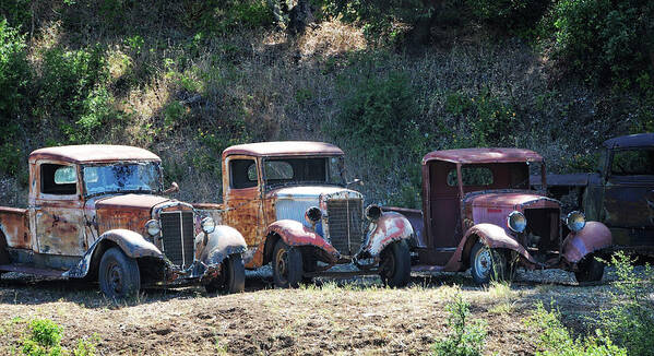 Trucks Poster featuring the photograph Old Timers by Lynn Bauer