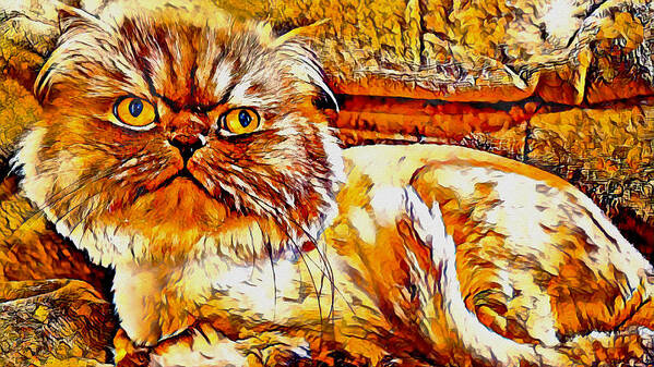 Persian Cat Poster featuring the digital art Persian cat looking grumpy - brown high contrast by Nicko Prints