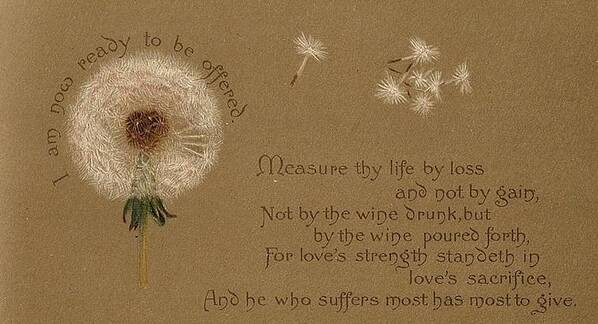 Dandelion Poster featuring the painting Ready to be Offered by Lilias Trotter