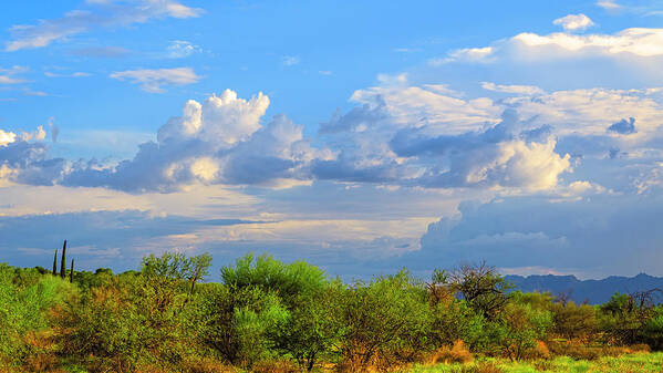 Mark Myhaver Photography Poster featuring the photograph Resplandor del Monsoon 24822 by Mark Myhaver