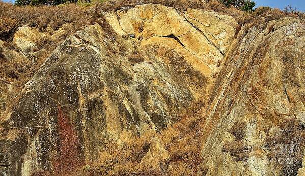  Rock Face Poster featuring the photograph Sandstone Rock Face, Point Lobos by Martha Sherman