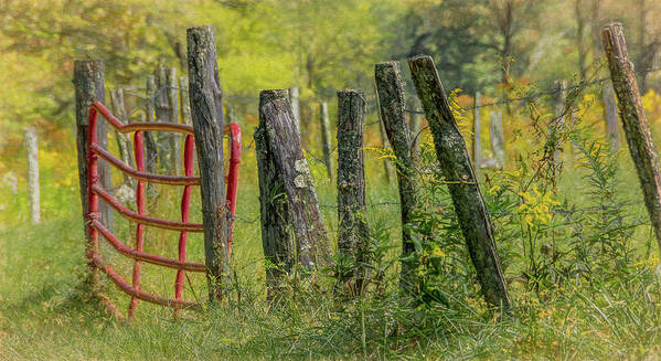 Cades Cove Poster featuring the photograph Sparks Lane Appeal by Marcy Wielfaert