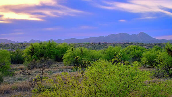 Arizona Poster featuring the photograph Spring Valley View 25090 by Mark Myhaver