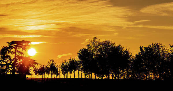 Golden Sky Poster featuring the photograph Sunset sky and silhouette of trees by Fabiano Di Paolo