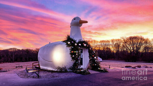 Duck Poster featuring the photograph The Big Duck at Christmas by Sean Mills