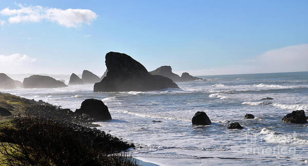 Denise Bruchman Photography Poster featuring the photograph The Oregon Coast by Denise Bruchman