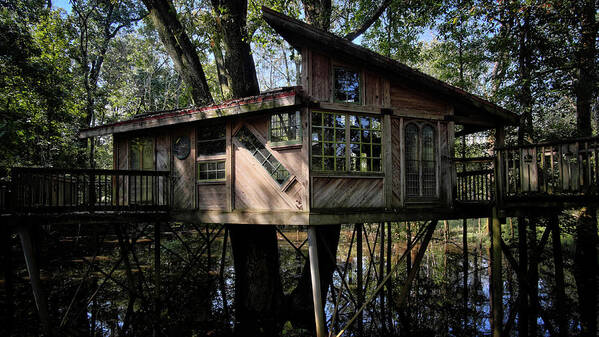 Tree House Poster featuring the photograph Tree House by George Taylor