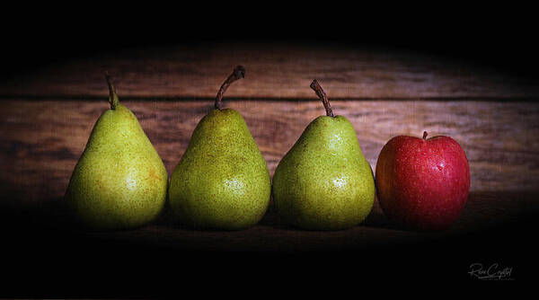 Pears Poster featuring the photograph Why Did You Bring HER? by Rene Crystal