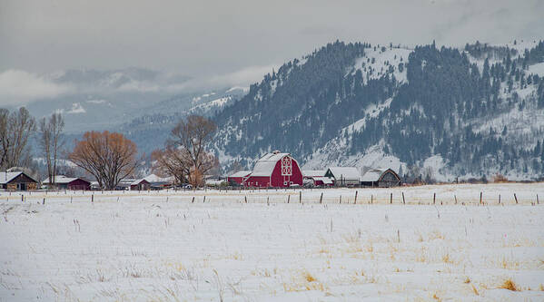  Poster featuring the photograph Winter Farmstead, Jackson Hole by Marcy Wielfaert