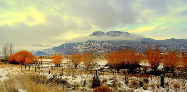 Mountain Poster featuring the photograph North #1 by Kathy Bassett