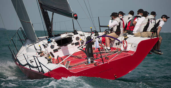 Bay Poster featuring the photograph Key West Race Week #22 by Steven Lapkin