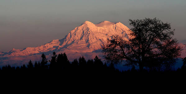 Landscape Poster featuring the photograph A Majestic Goodnight by Rory Siegel