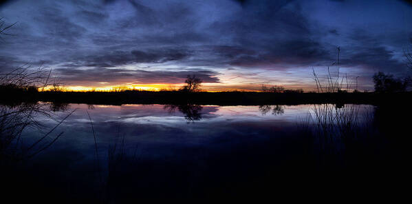Nature Poster featuring the photograph Big Thompson Pond Sunrise by Steven Reed