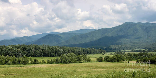 Landscape Poster featuring the photograph Cades Cove In Summer by Todd Blanchard