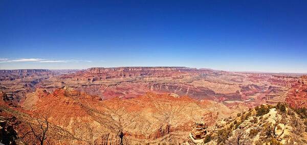 Canyon Poster featuring the photograph Canyon View by Dave Files