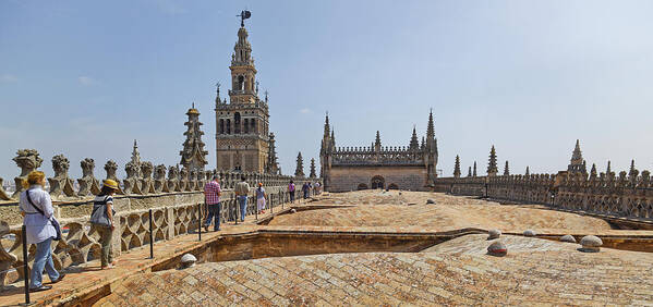 Photography Poster featuring the photograph Cathedral In A City, Seville Cathedral by Panoramic Images