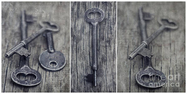 Keys Poster featuring the photograph decorative vintage keys II by Priska Wettstein