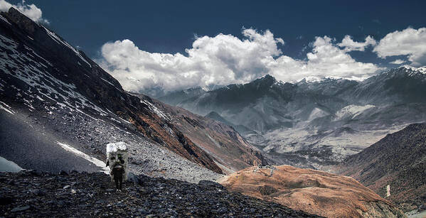 Nepal Poster featuring the photograph Delivery Of Refrigerator, Himalayas by Dmitriy Yevtushyk