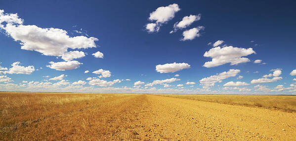 Martin Willis Poster featuring the photograph Dirt Road Through Plain Queensland by Martin Willis
