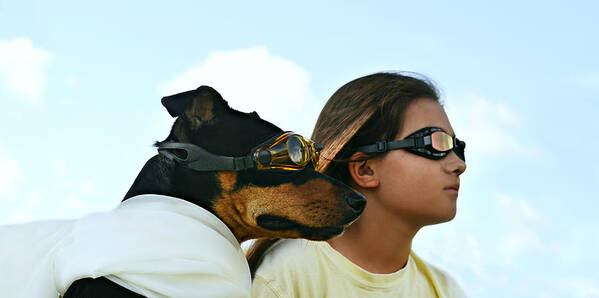 Laura Fasulo Poster featuring the photograph Dog Is My Co-pilot by Laura Fasulo