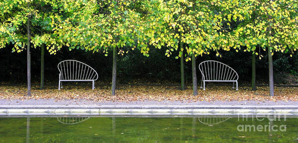 Autumn Poster featuring the photograph English Autumn by Ann Horn