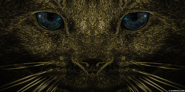 Cats Poster featuring the photograph Eyes That Mesmerize by Anthony Scarpace