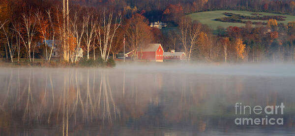 Fog Poster featuring the photograph Foggy Morning on Lake Pineo by Butch Lombardi
