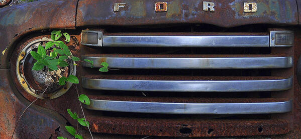 Ford Truck Poster featuring the photograph Ford by Stacy Abbott