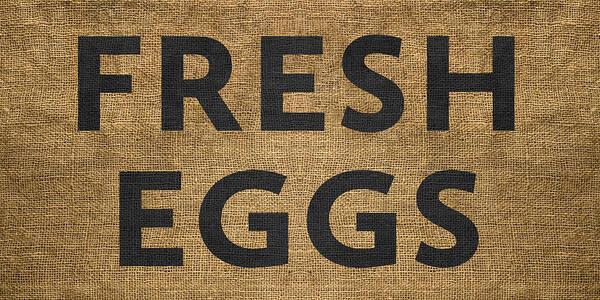Burlap Poster featuring the digital art Fresh Eggs by Nancy Ingersoll