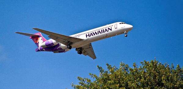 Hawaiian Airlines Poster featuring the photograph Hawaiian Airlines by Craig Watanabe