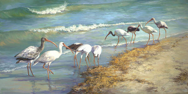 Ibis Poster featuring the painting Ibis on Marco Island by Laurie Snow Hein