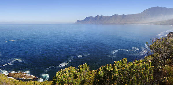 Kogelberg Poster featuring the photograph Kogelberg area view over ocean by Johan Swanepoel