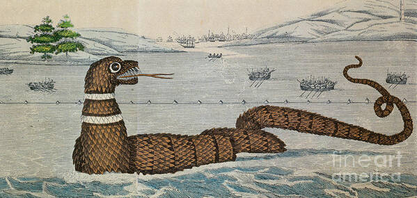 History Poster featuring the photograph Legendary Gloucester Sea Serpent, 1817 by Photo Researchers