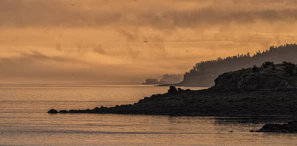 Lifting Fog At Sunrise On Campobello Coastline Poster featuring the photograph Lifting Fog at Sunrise on Campobello Coastline by Marty Saccone