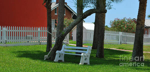 Red Poster featuring the photograph Made In The Shade by Bob Sample