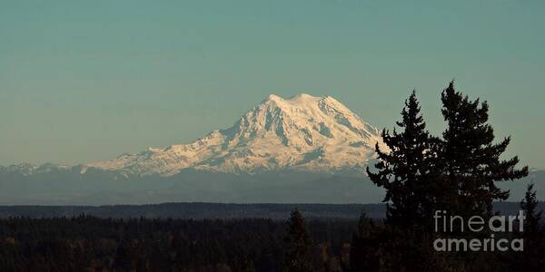 Mountain Poster featuring the photograph Mount Rainier by Patricia Strand