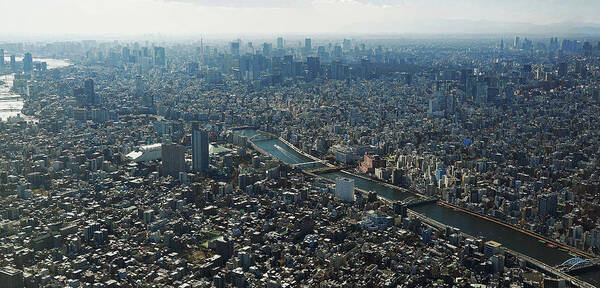 Tokyo Tower Poster featuring the photograph On Top Of Tokyo City by Mhbs