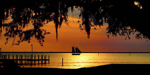 Sail Boat Photo Poster featuring the photograph Sailing Destin by James Granberry