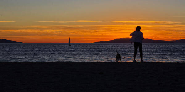 Molly Dog Images Poster featuring the photograph SoCal Sunset by John McArthur