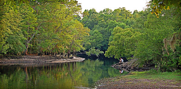 Landscape Poster featuring the photograph Solitude by Linda Brown