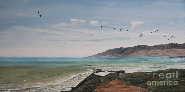 Pelican Poster featuring the painting Squadron of Pelicans Central Califonia by Ian Donley