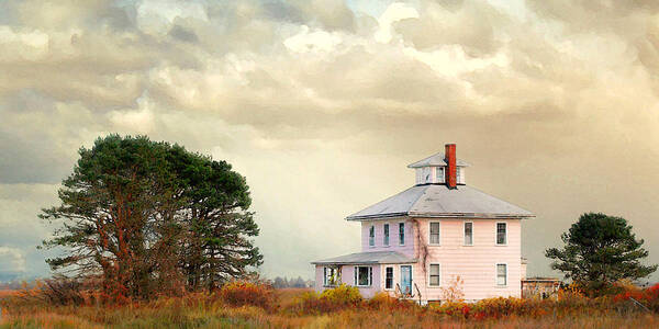 The Pink House Poster featuring the photograph The Pink House by Karen Lynch