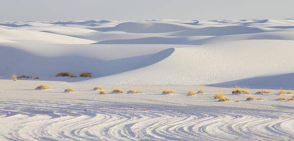 Sand Dunes Poster featuring the photograph White Sands New Mexico by Elvira Butler